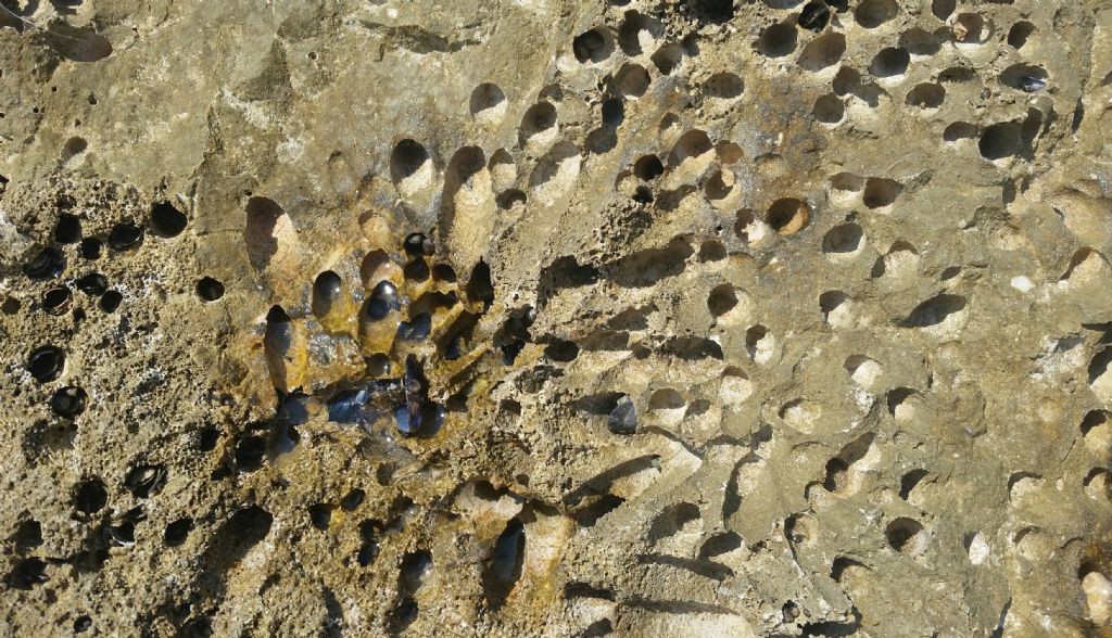 Chi ha fatto questi fori?